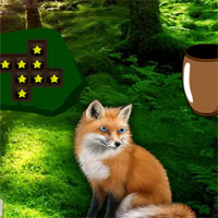 Free online html5 games - G2R Blue Eyed Fox Forest Escape game 
