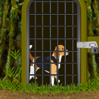 Free online html5 games - National Reserve Forest Escape Games2rule game 