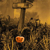 Free online html5 games - G2R Halloween Ghost Bird Escape game 