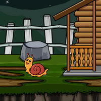 Free online html5 escape games - Unlock the Monkeys Cage