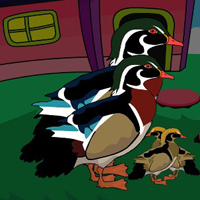 Free online html5 games - G2J Wood Duck Family Escape game 