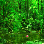 Free online html5 games - Nature Green Forest Escape game 