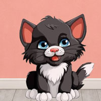 Free online html5 escape games - Cat Cafe Escape