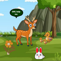 G2R Mom Deer Searching Infant