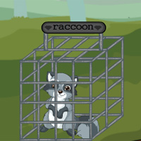 Free online html5 games - Raccoon Escape NSRGames game 