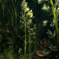 Free online html5 games - Flowers Light Forest Escape HTML5 game 