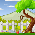 Free online html5 games - Race of Champions game 