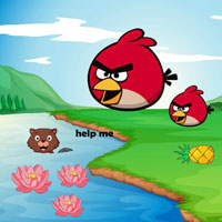 Free online html5 escape games - BIG Preserve Dangerous Situation Squirrel