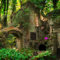 Free online html5 games - Demolished Forest Fort Escape Games2rule game 