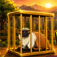 Free online html5 games - Break the Pied Tamarins Cage game 