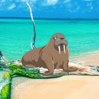 Free online html5 games - Games2rule Coconut Farm Island Escape game 