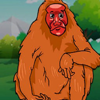 Free online html5 games - G2J Bald Uakari Monkey Escape game 