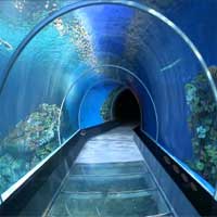Free online html5 games - Escape From Sea Aquarium KnfGame game 
