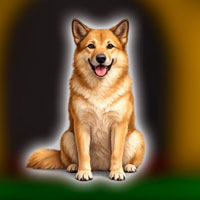 Free online html5 games - Help the Chinook Dog Escape game 