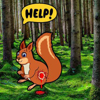 Free online html5 games - Injuried Squirrel Escape  game 