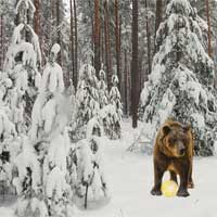 Free online html5 games - Winter Wonderland Forest Escape 2 EscapeFan game 