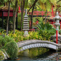Free online html5 games - Escape From Tropical Garden game 