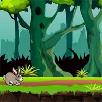 Free online html5 games - Forest Little Bunny Rescue Games4Escape game 