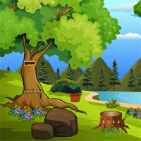 Free online html5 games - Top10NewGames Rescue The Cheetah game 