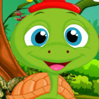 Free online html5 games - Palani Comely Turtle Escape Game game 