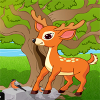 Free online html5 games - Games2Jolly  Feed The Baby Deer game 