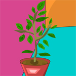 Free online html5 games - Enticing House Escape game 