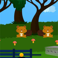 Free online html5 games - 8b Tortoise Escape game 