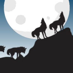 Free online html5 escape games - 8B Find Scenery Frame