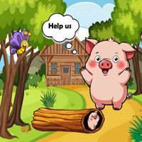 Free online html5 games - G2R Save Wooden Stuck Tiny Piggy game 
