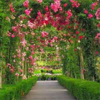 Free online html5 games - Escape From the Flower Garden KnfGame game 