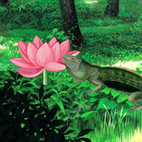 Free online html5 games - Lizard Forest Escape HTML5 game 