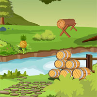 Free online html5 games - Top10 Rescue The Kangaroo game 