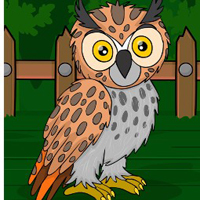Free online html5 games - G2J Long Eared Owl Escape game 