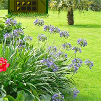 Free online html5 games - Find the Pink Flower game 