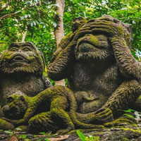 Free online html5 games - Monkey Statue Forest Escape HTML5 game - WowEscape 
