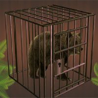 Free online html5 games -  Forest Bear Escape game 