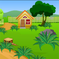 Free online html5 games - Boy Escape From Garden House game 
