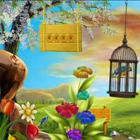 Free online html5 games - Macaw Escape 8BGames game 