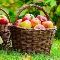 Free online html5 games - Games2rule Country Fruits Farm Escape game 
