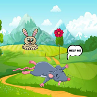 Free online html5 escape games - Give First Aid Sick Rat