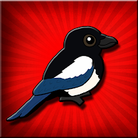 Free online html5 games - FG Lovely Magpie Bird Escape game 