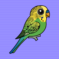 Free online html5 escape games - Help The Budgerigar From Cage