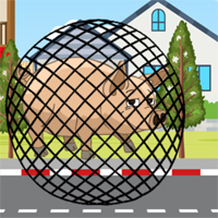 Free online html5 games - G2M Free the Giant game 
