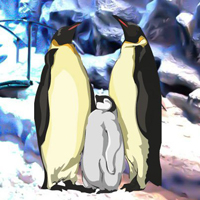 Free online html5 games - Winter Penguin Family Escape game 