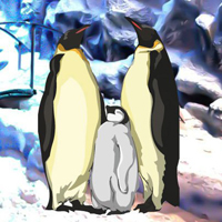 Free online html5 escape games - Winter Penguin Family Escape