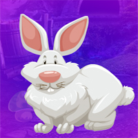 Free online html5 games - Games4King Anile Bunny Escape game 