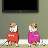 8b Find Sweet Pet Dog Dynamo