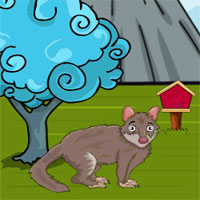 Free online html5 games - Games2JollyTiger Quoll Rescue game 