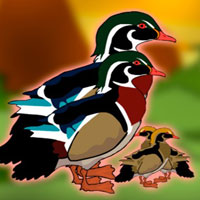 Free online html5 escape games - G2J Rescue the Wood Duck Family