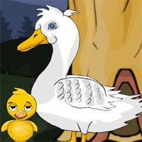 Free online html5 games - G2J Operation Momma Ducky Rescue game 